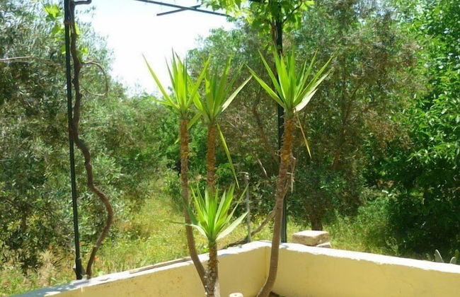 Tenuta la Siesta - Photo 47