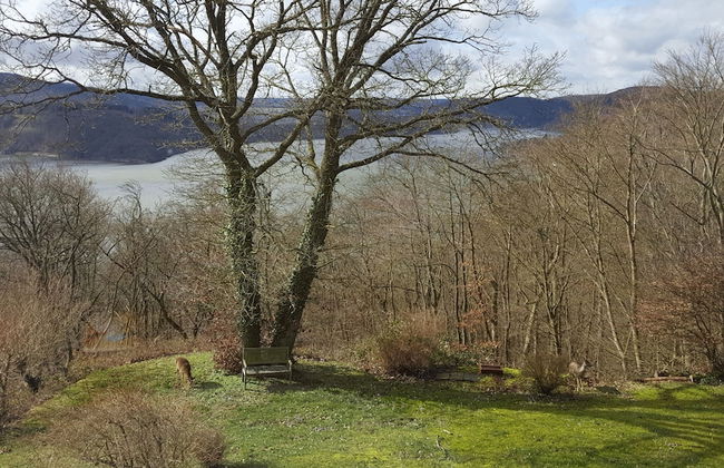 Friedrichs Ferienwohnungen - Foto 44