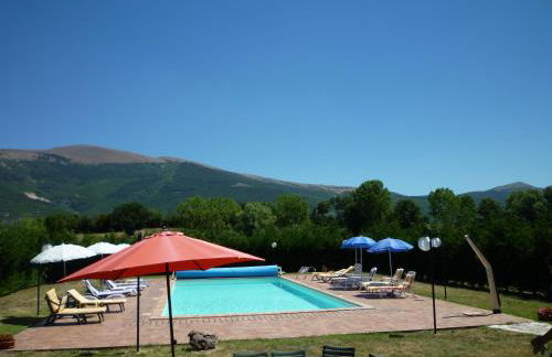 Tadinum Romana - Foto 61