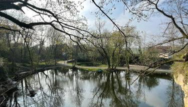 Carrière de la Tour - Foto 3, Garden