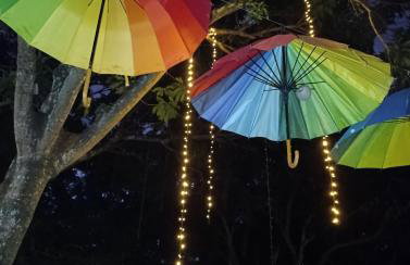 Ananda Multiverse Evolve 15' from the Botanical Garden - Foto 8