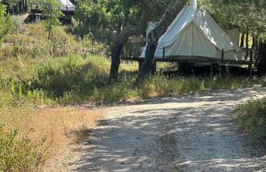 Monte da Tojeirinha - Foto 72