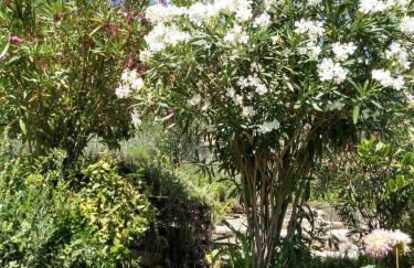 Casa Rio Zêzere - Foto 50