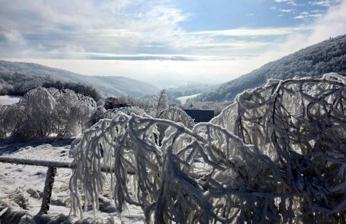 Domek w Chmurach - Foto 46