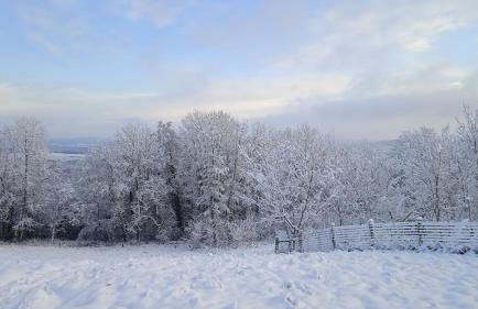 Les Jardins des 3 Provinces- Gîte - Foto 50