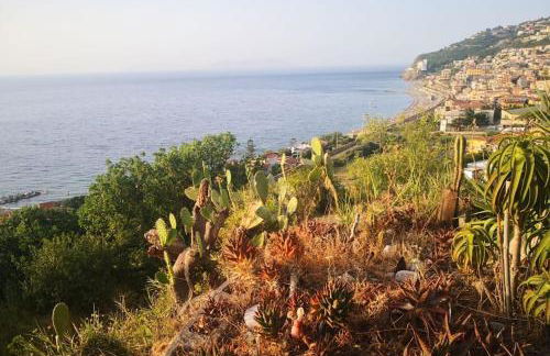 Casa Spisidda Appartamento bilocale "Salina" con vista sulle Eolie - Foto 11