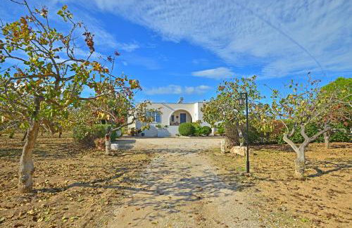 Tzitzi Pistachio Villa - Foto 42