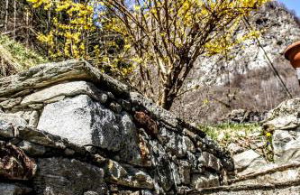 Casa Rimasco - Foto 80