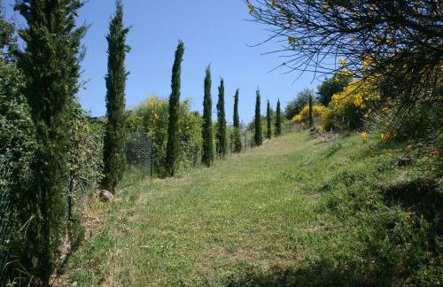 La Casina del Bosco - Foto 17