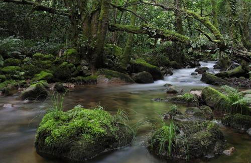 Casa Turismo Rural O FILANDÓN - Foto 44