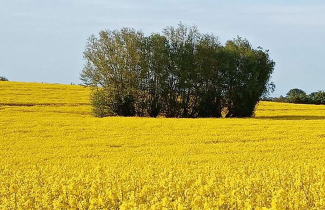 Modern Apartment in Elmenhorst Near Sea - Foto 68