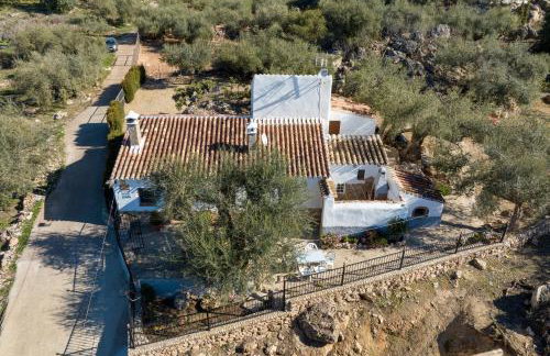 Cortijo Salva - Foto 6