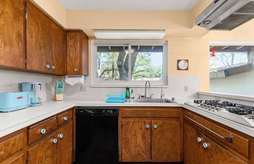 Bella Patricia - Foto 24