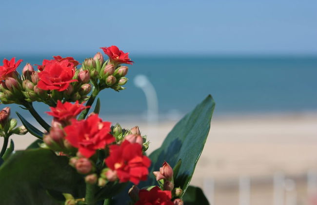 Case Playa - Foto 44