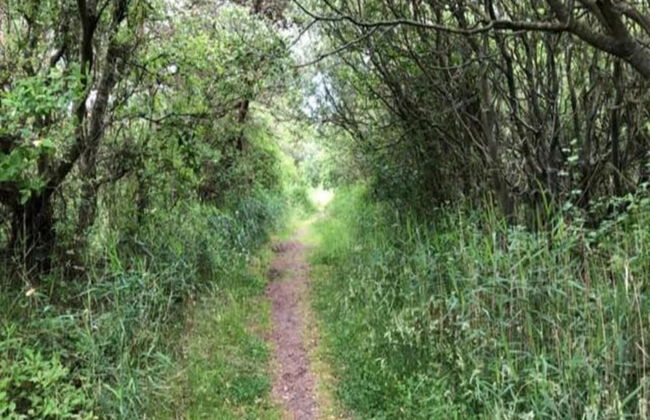 Villa in Midsland Near the Sea - Foto 23