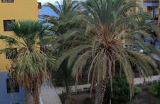 CASA ROBERTO CANDELARIA,PARKING,AIR,WIFi - Foto 22