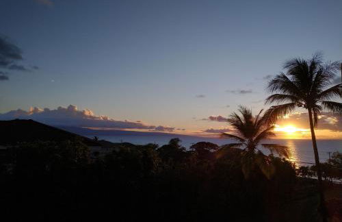 Hale Mai Hopohopo - Foto 36