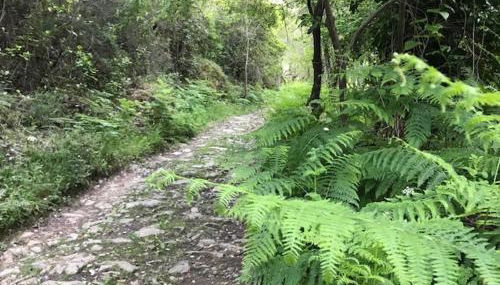 CASA DE DOÑA MARIA VALDELARCO - Foto 2