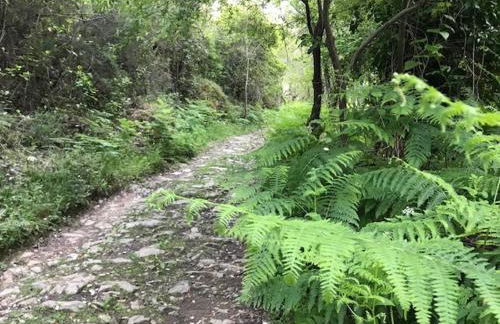 CASA DE DOÑA MARIA VALDELARCO - Foto 2