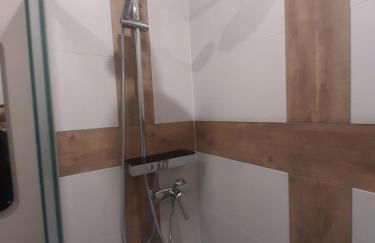 3 Apt T2 COSY de 40 à 50 M2 Idéal pour un déplacement PRO " Les IRIS " - Foto 70