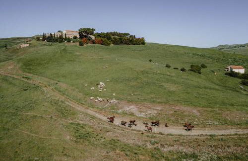 Antico Feudo San Giorgio - Foto 24