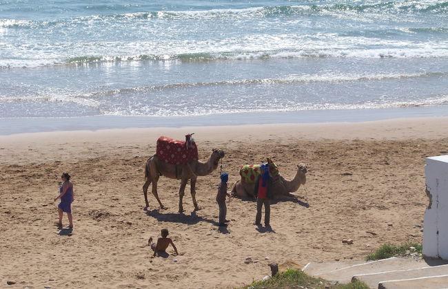 Dar Oceana - Photo 60