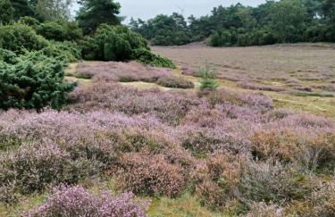 Im Herzen Halterns - Foto 24