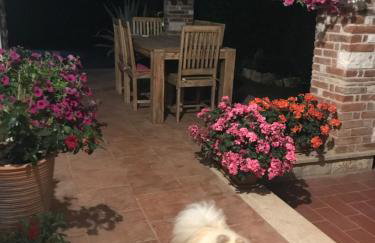 Villa Eva Karigador - Photo 44