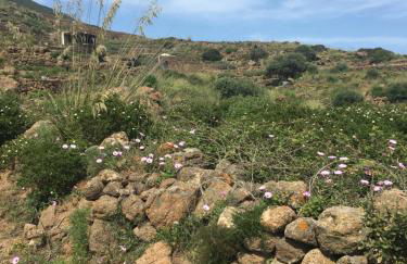 Dammusi IL SERRALH -Pantelleria- - Foto 64