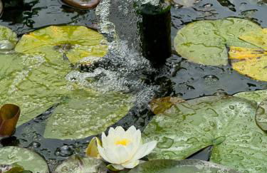 Villa Dei Fiori - casa vacanza - Foto 40