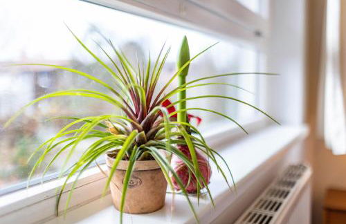 Albrechtshof - Foto 51