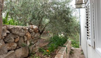 Villa Adriatica - Photo 3