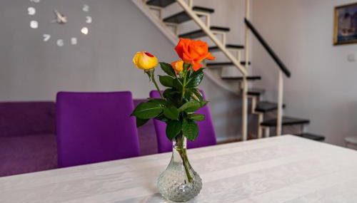 Apartman Best - Foto 2