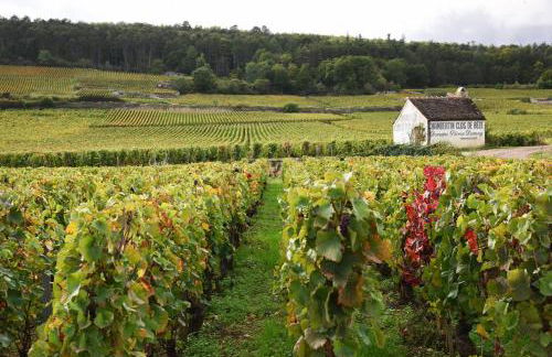 Le Richebourg - Charmant T2 Cosy, tout confort - Foto 14