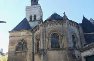 Entre châteaux et vignobles, au bord de la Loire - Foto 29