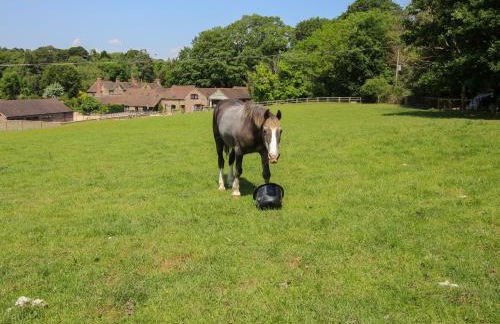 The Olde Cow House - Foto 49