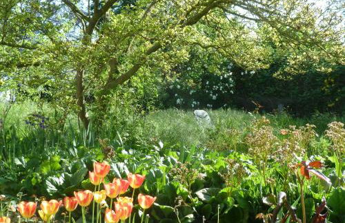 Perle der Altmark 1 und 2 - Foto 31