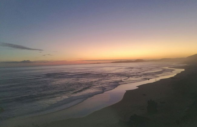 Experience Nature at Brenton on Sea With Breakers Dolphins and Whales - Foto 26