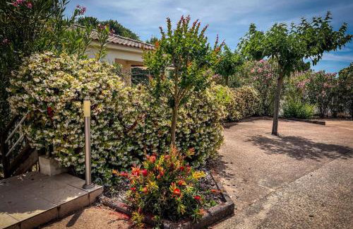 Ambre - Terrace Garden - by TGB - Photo 18