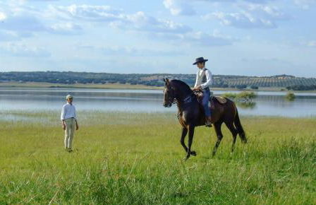 Casa Azul - Photo 45