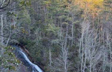 The Onyx - Walk to Falls, Hot Tub, Resort Access, Luxe Approved - Foto 34