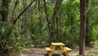 Spacious and relaxing Home - Longwood, Florida - Foto 5