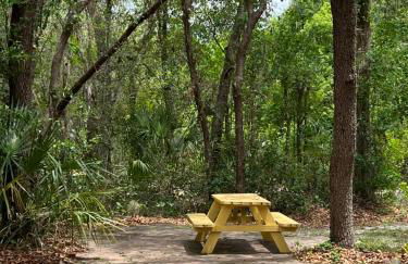 Spacious and relaxing Home - Longwood, Florida - Foto 5