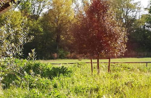 Molino della Tuoma - Foto 78