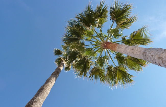 Charming Holiday Home Near Seabeach in La Cala de Mijas With Private Terrace - Photo 30