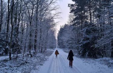 Domki Anastazewo - Foto 40