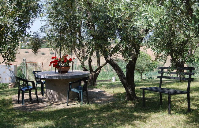 Il Giardino degli Ulivi - Foto 28