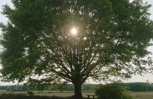 Holiday Apartment Red Milan - Photo 31