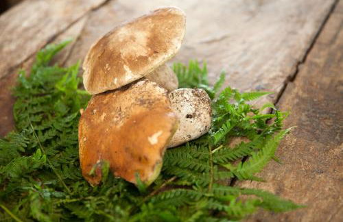 La Vigna Del Maestro - Foto 18