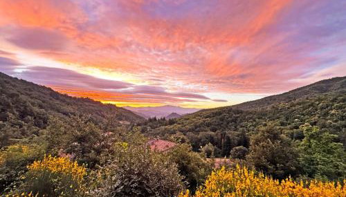 Bio Agriturismo Il Vigno - Pool Sauna Nature - Farm To Table Food - Wild Tuscan countryside - Adults Only - Your Place to Breathe - Foto 4